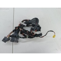 Проводка двери Перед. L Mercedes W251 (R) 2007 2514402009