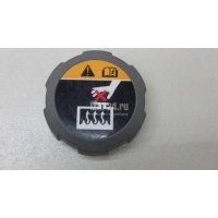 Крышка расширительного бачка Hyundai-Kia Sorento IV 2020 25330L1000