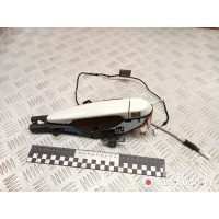 Ручка наружная передняя левая BMW 3 E90/E91/E92/E93 2008 14010710,7163511,77708736