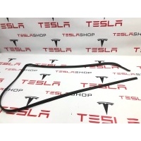 Уплотнитель Tesla Model S 2019 6009588-00-D