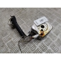 Теплообменник Volkswagen Passat 5 (1996-2000) 1998 ,068117021B