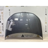 Капот Skoda Kodiaq 1 NS7 до Рестайлинг 2016-2022 565823031A