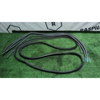 УПЛОТНИТЕЛЬ ДВЕРНОГО ПРОЕМА Toyota Rav4 SXA11 1995 6231442010B0
