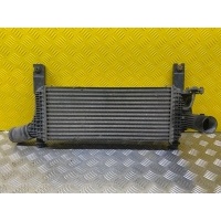 Интеркулер Nissan Navara (D40) 2004-2015 2010 144615X00A