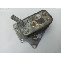 Теплообменник Opel Astra H 2005 5689040231