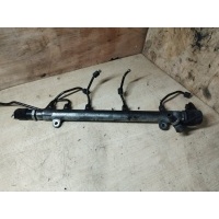 Топливная рейка mercedes c W203 2006 A6460700295, A6460700295, 0445214073, A6110780449, 0281002494