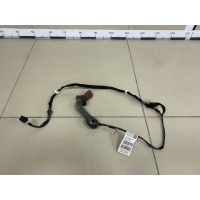 Проводка двери Nissan Nissan Terrano (D10) 2014> 241263691R