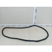 Уплотнитель проема двери задней правой Chevrolet Chevrolet Cobalt (T250) 2011-2015 94779194