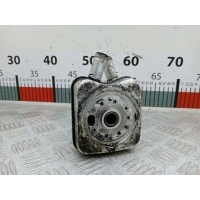 Теплообменник Volkswagen Passat 6 (2005-2010) 2006 ,028117021L