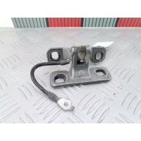 Петля крышки (двери) багажника BMW X3 (E83) (2003-2010) 2005 ,41623422367