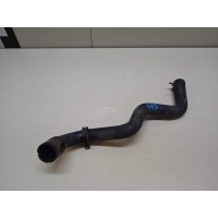 Патрубок радиатора Ford C-MAX (2003 - 2010) 1386718
