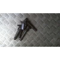 Катушка зажигания Hyundai Sonata NF 2005-2010 2005 273013C100