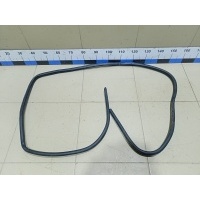 Уплотнитель двери NISSAN Qashqai (J11) 2014> 769224EA0A