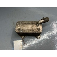 Радиатор масляный Seat Exeo 2007 06D117021C