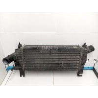 Интеркулер Nissan Pathfinder (R51) (2005 - 2014) 14461EB360