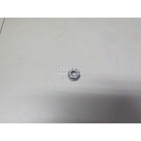 Гайка VAG Golf Plus (2005 - 2014) N01100845