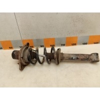Амортизатор задний Volkswagen Passat B5 2000 3B5513031D