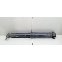 амортизатор задний Renault Megane 2 2004 1213-0109-SX,4213-9910-SX