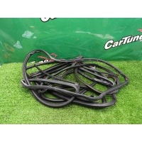 Уплотнители дверей Mercedes-Benz C W203 2002 A2037202178