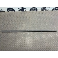 Уплотнитель двери задний Mercedes C/W203 2000-2008 A2036901980