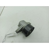 Механизм натяжения ремня, цепи Renault Scenic I (1996-2003) 1999 820003359
