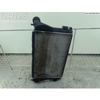 Радиатор интеркулера Skoda Octavia mk2 (A5) 2009 1K0145803AN