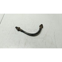 Шланг тормозной задний Nissan Qashqai (J10) (2006 - 2014) 46210JD600