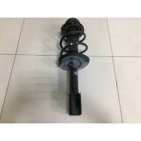 Амортизатор передний Renault Renault Logan (2) 2014> AG09052, 543025333R
