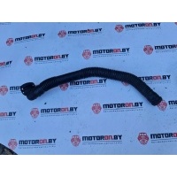 Патрубок воздушного фильтра Volkswagen Passat 2009 1k0129637D