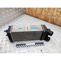 Интеркулер Citroen Berlingo (M49) 2000 9645965180,874964GJ