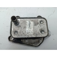 Теплообменник Mercedes W211 (E) 2006 6461880301