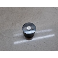 Толкатель клапана механический Hyundai-Kia Santa Fe (CM) (2006 - 2012) 2222625243