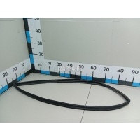 Уплотнитель стекла двери Hyundai-Kia Ceed (2007 - 2012) 825301H000