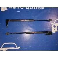 амортизатор двери багажника NISSAN LEAF AZE0 904513NK0A, 904503NK0A