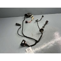 Проводка двери задней левой Volkswagen Passat B5 2003 3B0971161N,1J0959383C