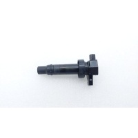 Катушка зажигания Hyundai Solaris HCR 2020 GN10590, 273012B010