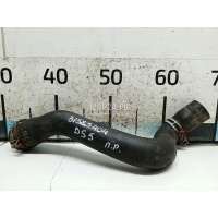 Патрубок радиатора Citroen-Peugeot C4 Picasso (2006 - 2014) 1343LJ