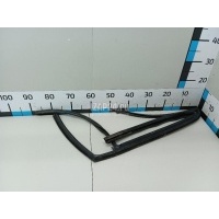 Уплотнитель стекла двери BMW X1 E84 (2009 - 2015) 51352990320