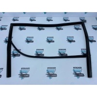 Уплотнитель стекла двери BMW 7-Series ActiveHybrid F04 2010 51357179130