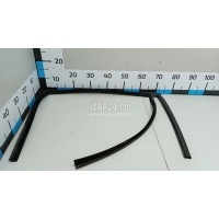 Уплотнитель стекла двери Ford Kuga (2008 - 2012) 1703928