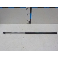 Амортизатор капота EXEED TXL 2020- 554000210AB