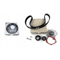 renault oe 119a06559r насос насос комплект панели грм renault oe 8200782671 шестерня привода распределительного вала