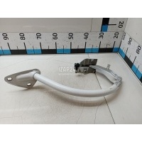 Петля крышки багажника VAG Passat CC (2008 - 2017) 3C8827302A