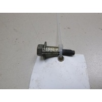 Болт клапанной крышки Hyundai-Kia Cerato (2009 - 2013) 224512G600