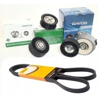 Skf / ina / dayco apv1156