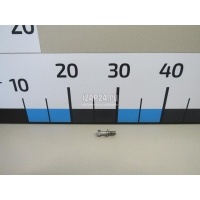 Болт Renault Scenic III (2009 - 2015) 489352570R