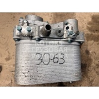 Интеркулер MAN TGX 2019 51095403060