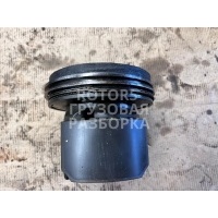 Поршень Volvo FH 2007 20847904,216000005