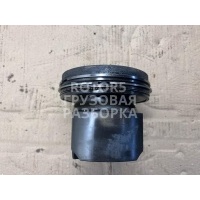Поршень Volvo FH 2007 216000005,20569833