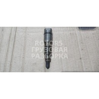 Форсунка Mercedes Actros 2018 A0060175721,0432191242